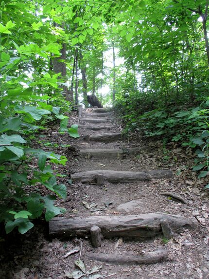 The hiking trail on McAfee Knob in Virginia's Blue Ridge Mountains leads to an iconic ledge...