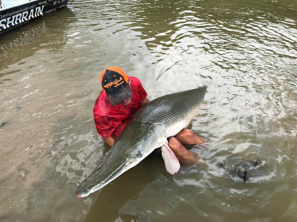 Texas fishing guide pulls 230-pounder from Trinity River
