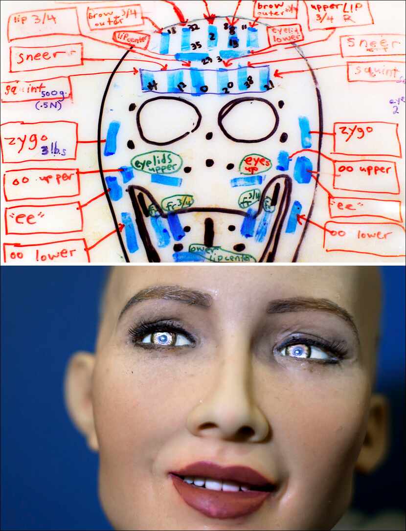 A design for one of Hanson Robotics' heads in 2006, and Sophia in 2017.