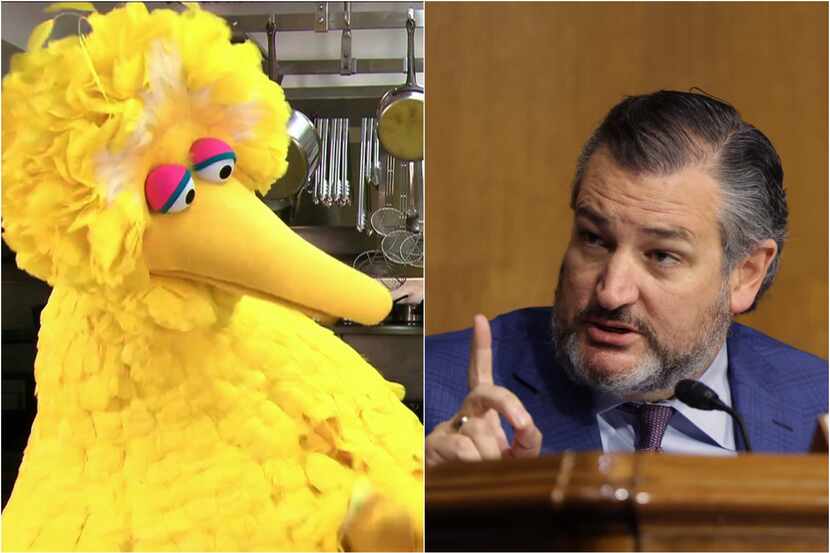 At left, Big Bird in White House handout photo from Feb. 2013. At right, Sen. Ted Cruz...