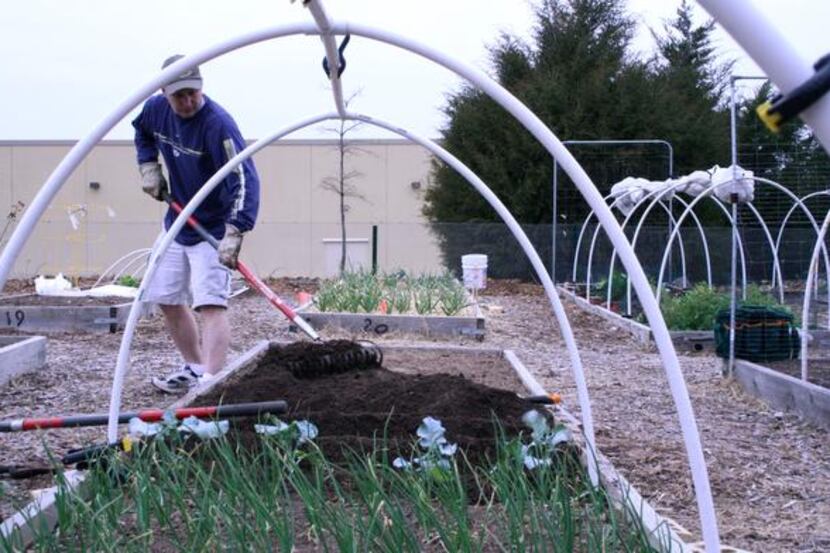 
The Giving Garden member Will Steven tends to his plots. The nonprofit garden project,...