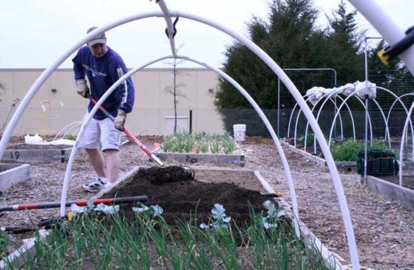 
The Giving Garden member Will Steven tends to his plots. The nonprofit garden project,...