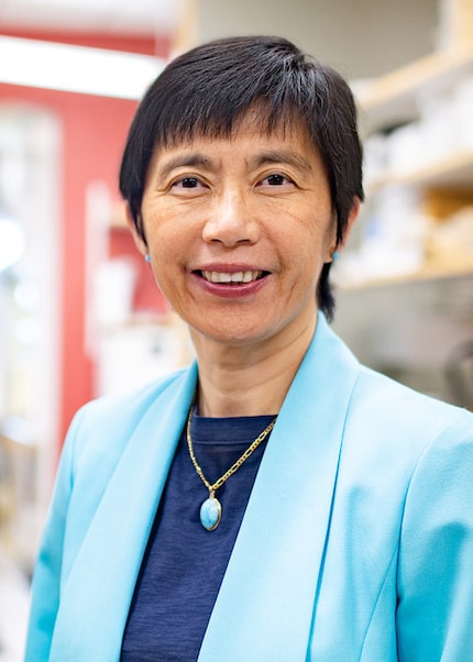 Julia Hsu, a UT Dallas professor, researches ways to make solar power cheaper and more...