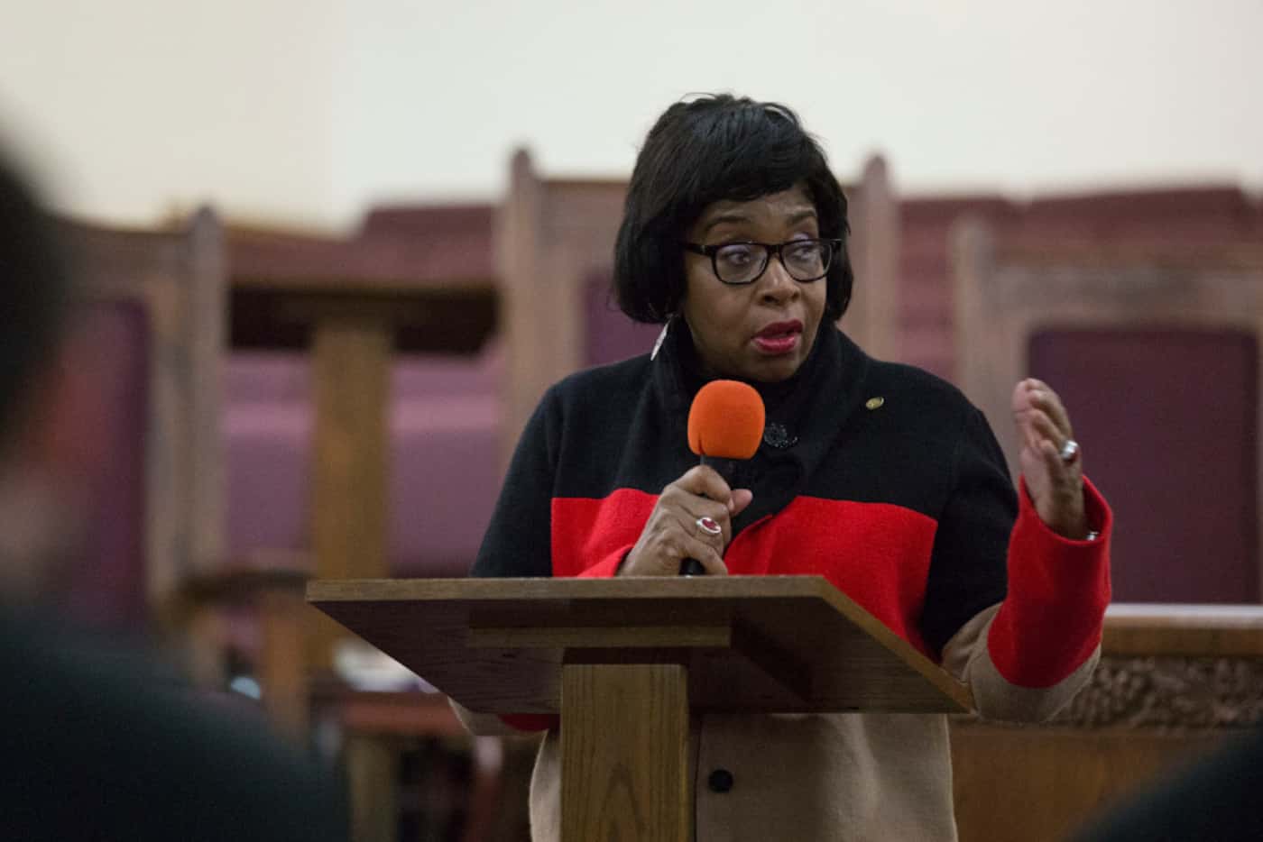 Carolyn King Arnold served one two-year term on the Dallas City Council. She has taken in...