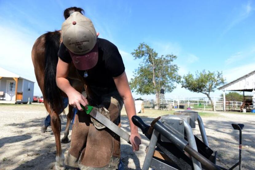 
Farrier Madeline Miner files the hooves of a rescue horse at Becky’s Hope Horse Rescue in...