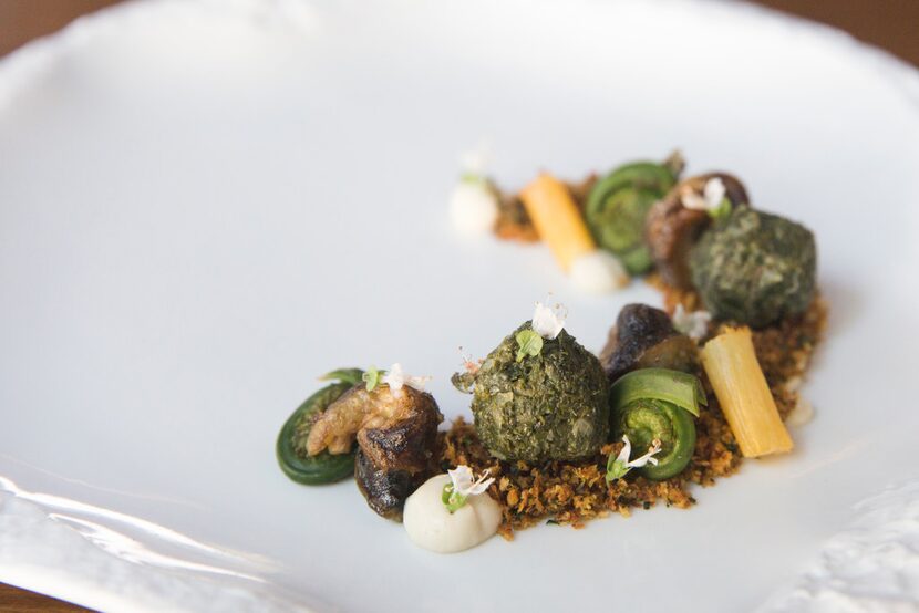 Snails with salsify, Granny Smith apple, fiddlehead fern, kale, carrot