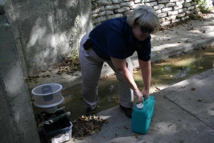
Coppell Environmental Health specialist Carol Primeaux prepares a mosquito trap near Bethel...