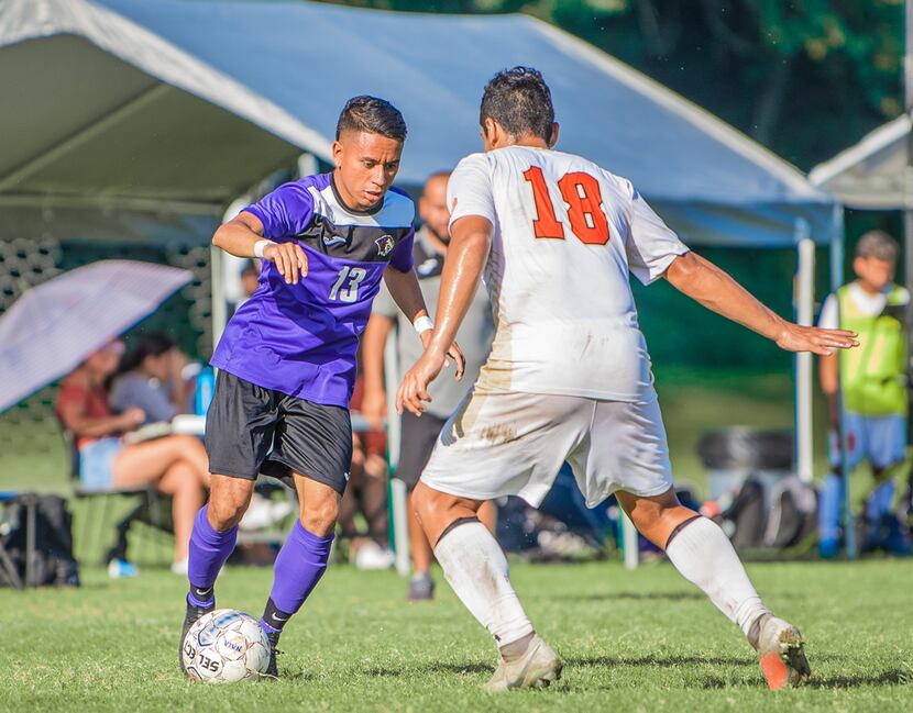 Paul Quinn's #13 Luis Arevalo in action for the Tigers.