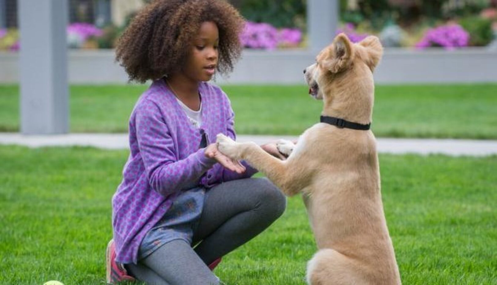 Annie (Quvenzhané Wallis) juega con su perro Sandy en “Annie”. (COLUMBIA PICTURES/CORTESÍA)
