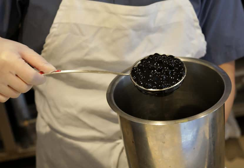 Grace Koo scoops a fresh batch of boba at 9 Rabbits Bakery and Boba Tea House in Dallas.