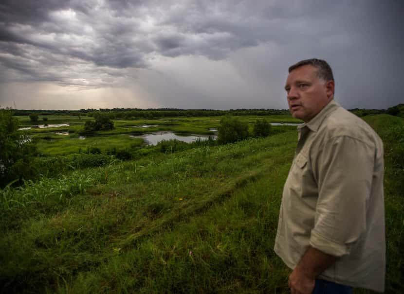 Chris Jackson looks for wildlife at the Village Creek Drying Beds in Arlington. The old...