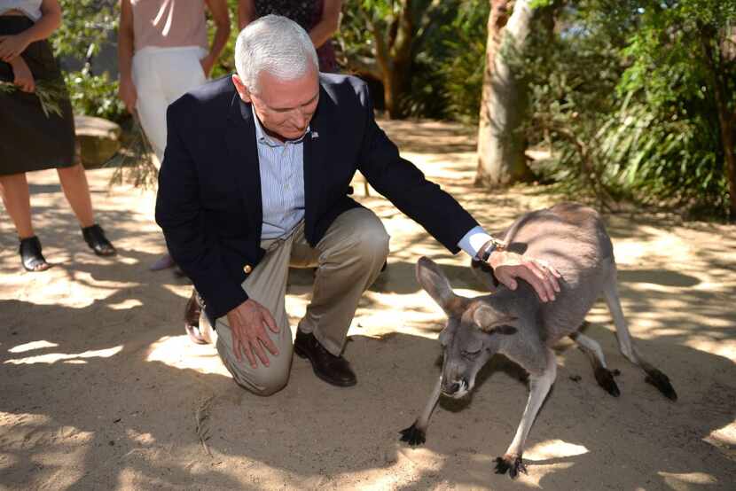 Vice President Mike Pence pats a red kangaroo at Taronga Park Zoo in Sydney, Australia, on...