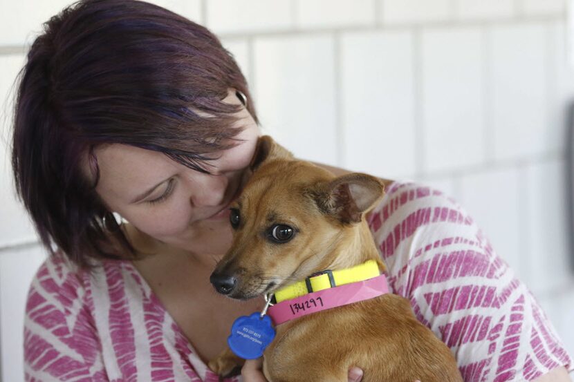 Meagan Lee, 16, adopted Kiyoko, a Chihuahua, during the Clear the Shelter event at Prairie...