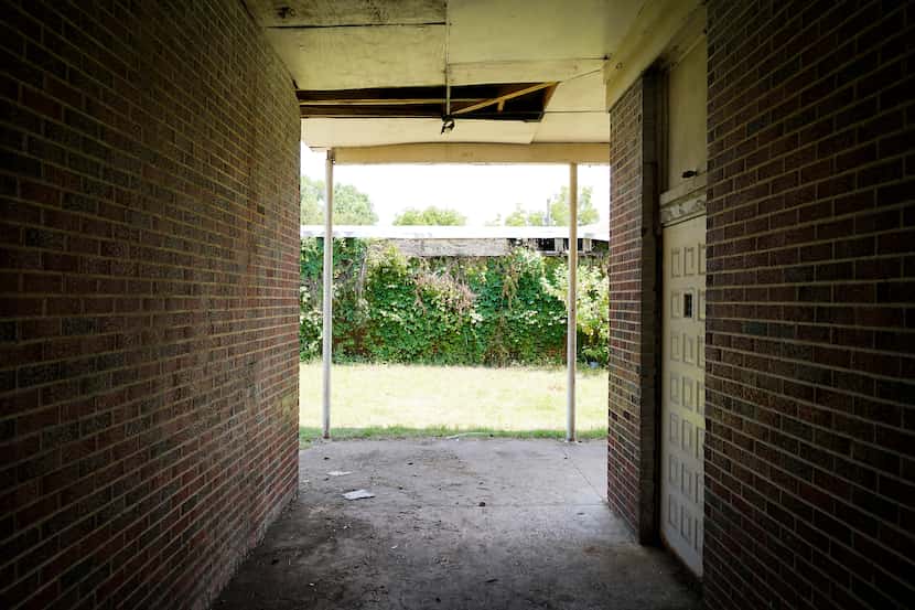 Dense growth covers a wall at the former Melissa Pierce School in Joppa on Thursday, July 8,...