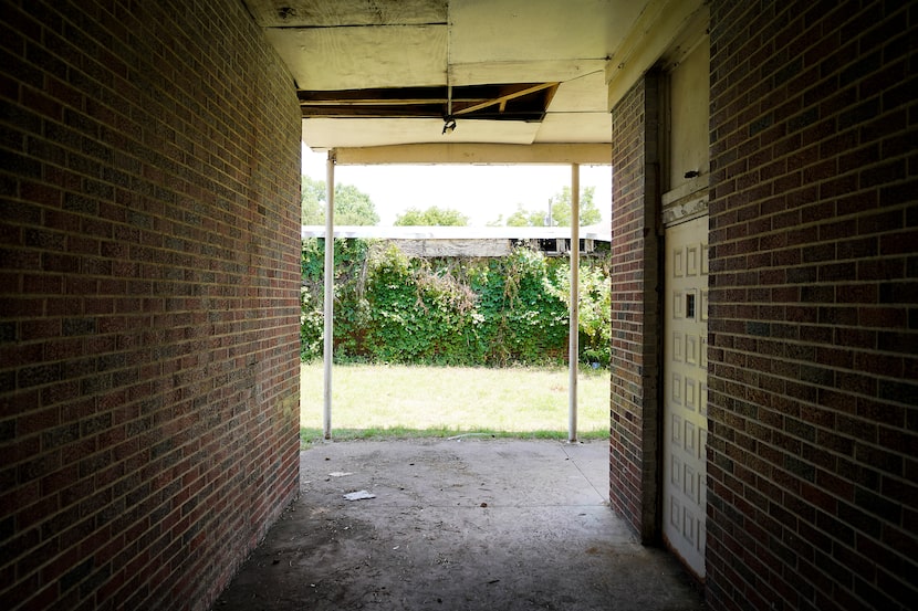 Dense growth covers a wall at the former Melissa Pierce School in Joppa on Thursday, July 8,...