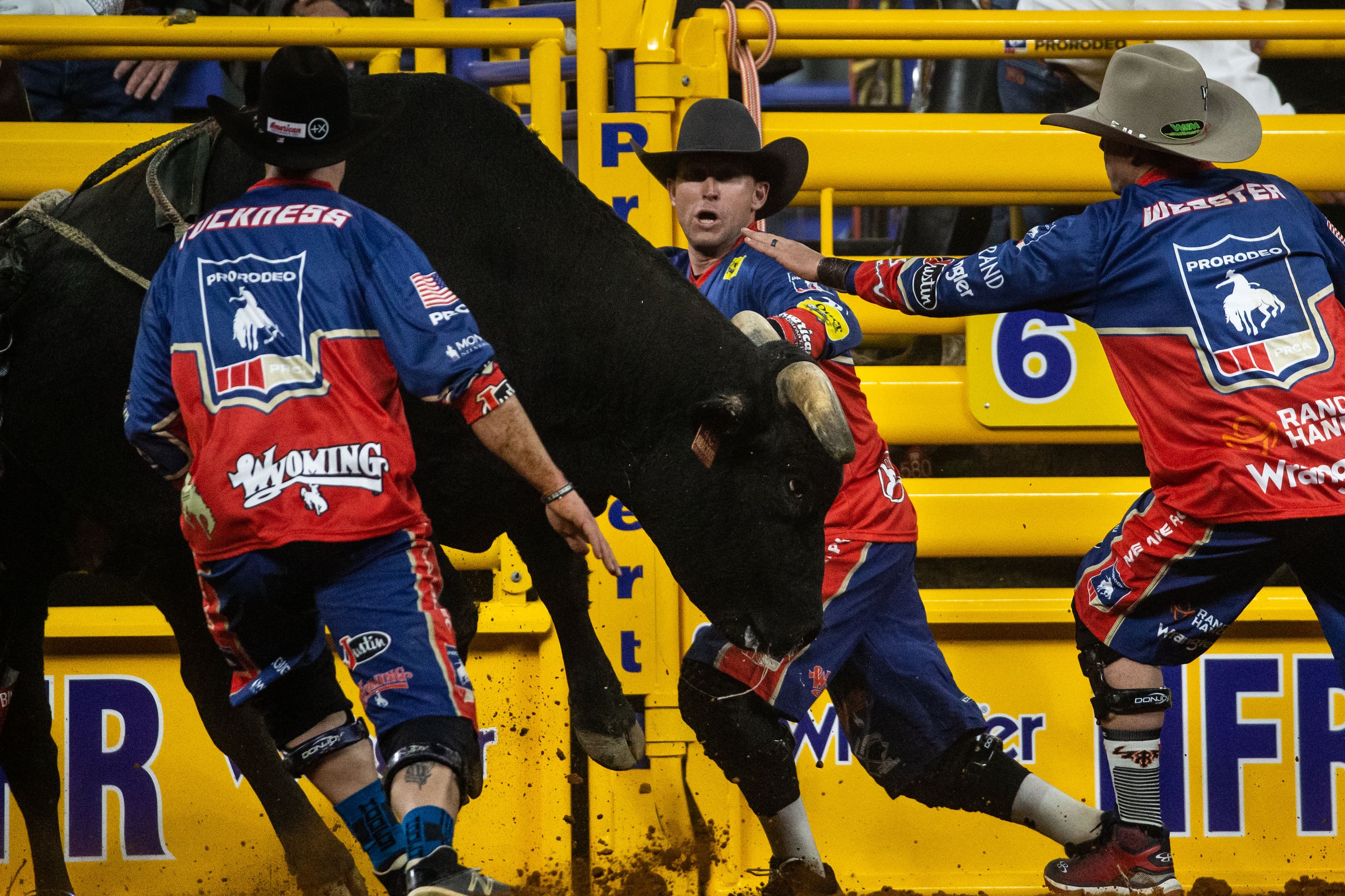Cody Webster becomes official bullfighter at PBR World Finals in Ft. Worth