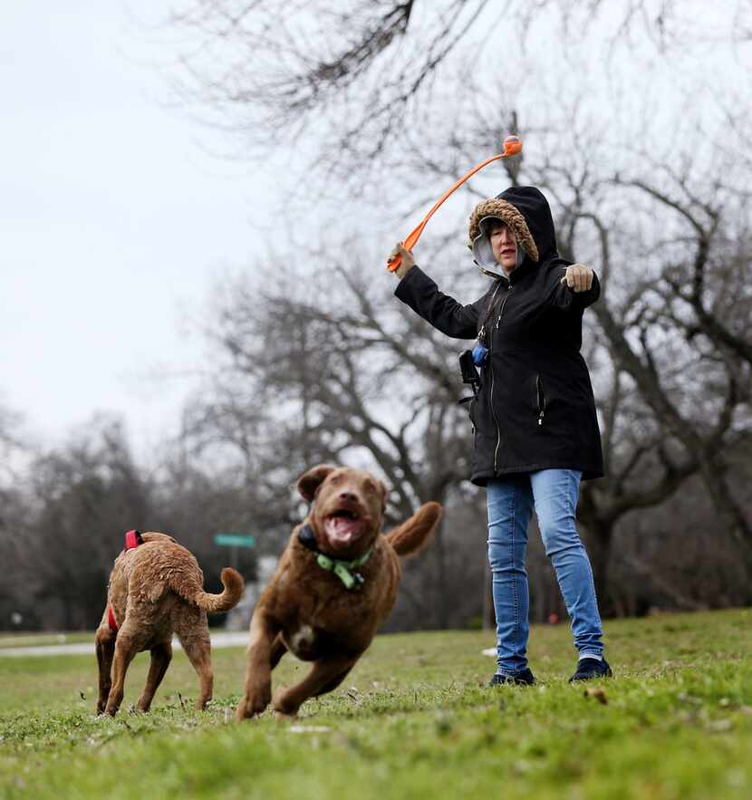 Melanie Wisniewski played fetch with her dogs, Nibbles (right) and Cassia, in 24-degree...