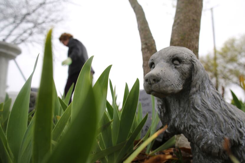 Animals statues can be found throughout the Cedar Hill Pet Memorial Park. Cedar Hill police...