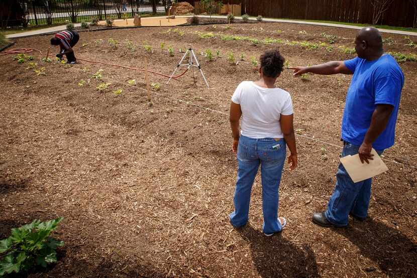 Horticulture specialist Tyrone Day directs women from the Austin Street Center's Sisterhood...