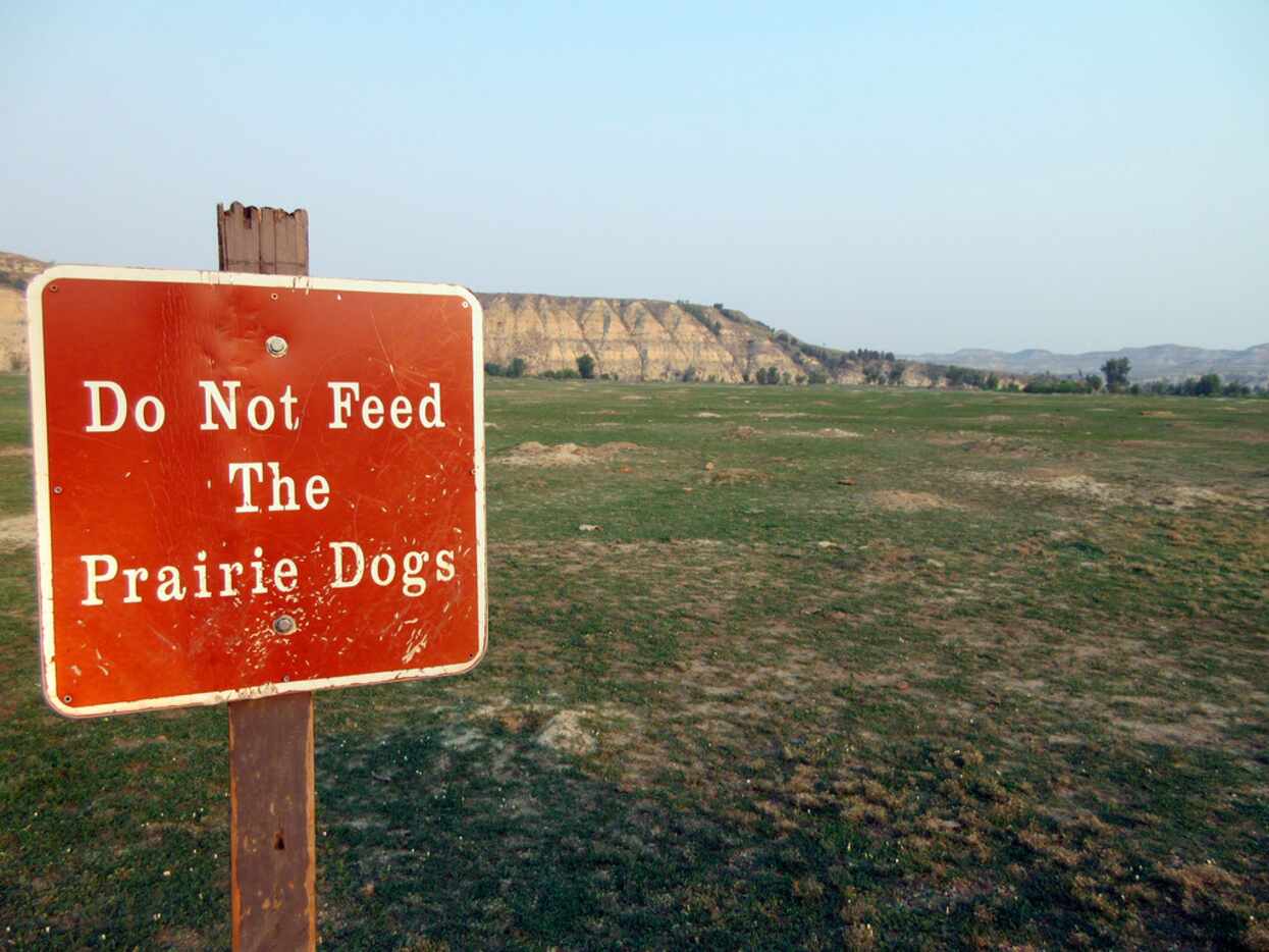 This Sept. 3, 2017 photo shows a "Do not feed the prairie dogs" sign at Theodore Roosevelt...