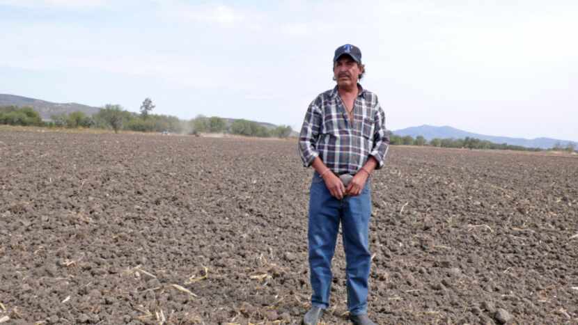 Leodegarco Ramirez Ramirez stands in his cornfields where his family has toiled for...