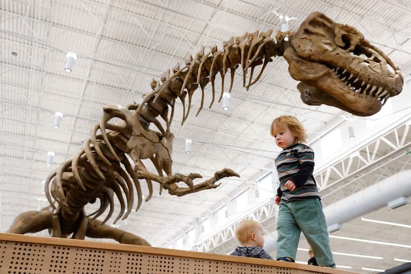 Desmond Dobbs, 2, goes around Rexy, a giant T-rex replica on Tuesday, March 14, 2023, at...