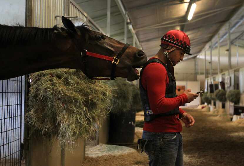 Exercise rider Diego Cervantes gets a little tug for attention from Axle in the Justin Evans...