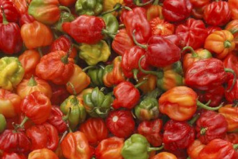 Hot peppers spice up a festival in Port of Spain, Trinidad, celebrating the best island fare...