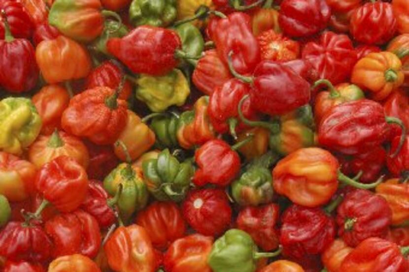Hot peppers spice up a festival in Port of Spain, Trinidad, celebrating the best island fare...