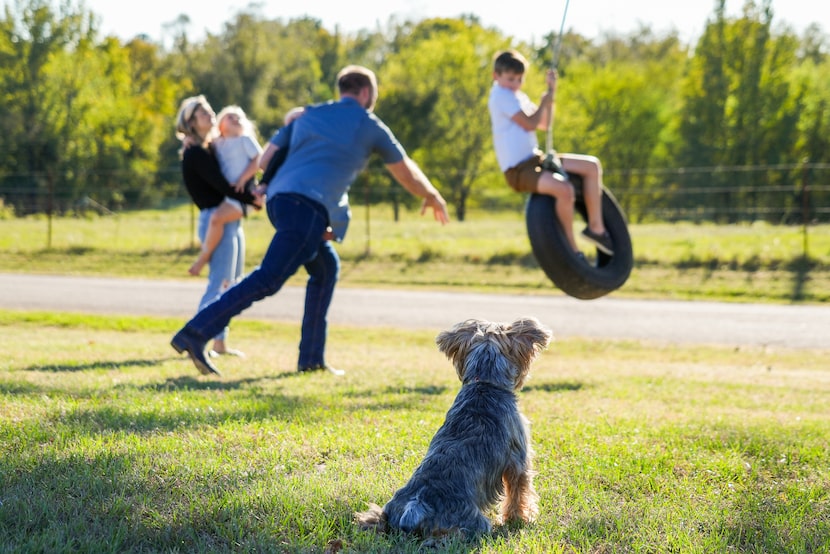 As one of the family’s dogs looks on, Aaron Rolen pushes his son Reid, 9, on a tire swing...