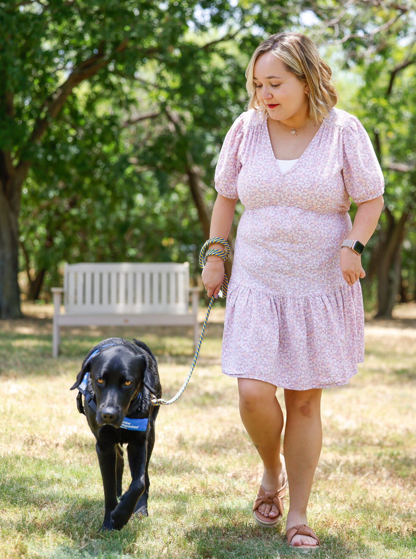 Lauren  Anderson walks her dog Thornton in between a portrait session during a service dog...