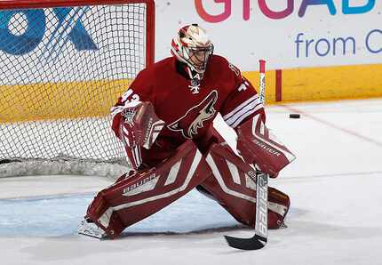 GLENDALE, AZ - FEBRUARY 13:  Goaltender Mike McKenna #43 of the Arizona Coyotes warms up...