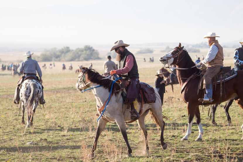 City folk can saddle up to participate in Antelope Island's annual bison roundup in Utah. 