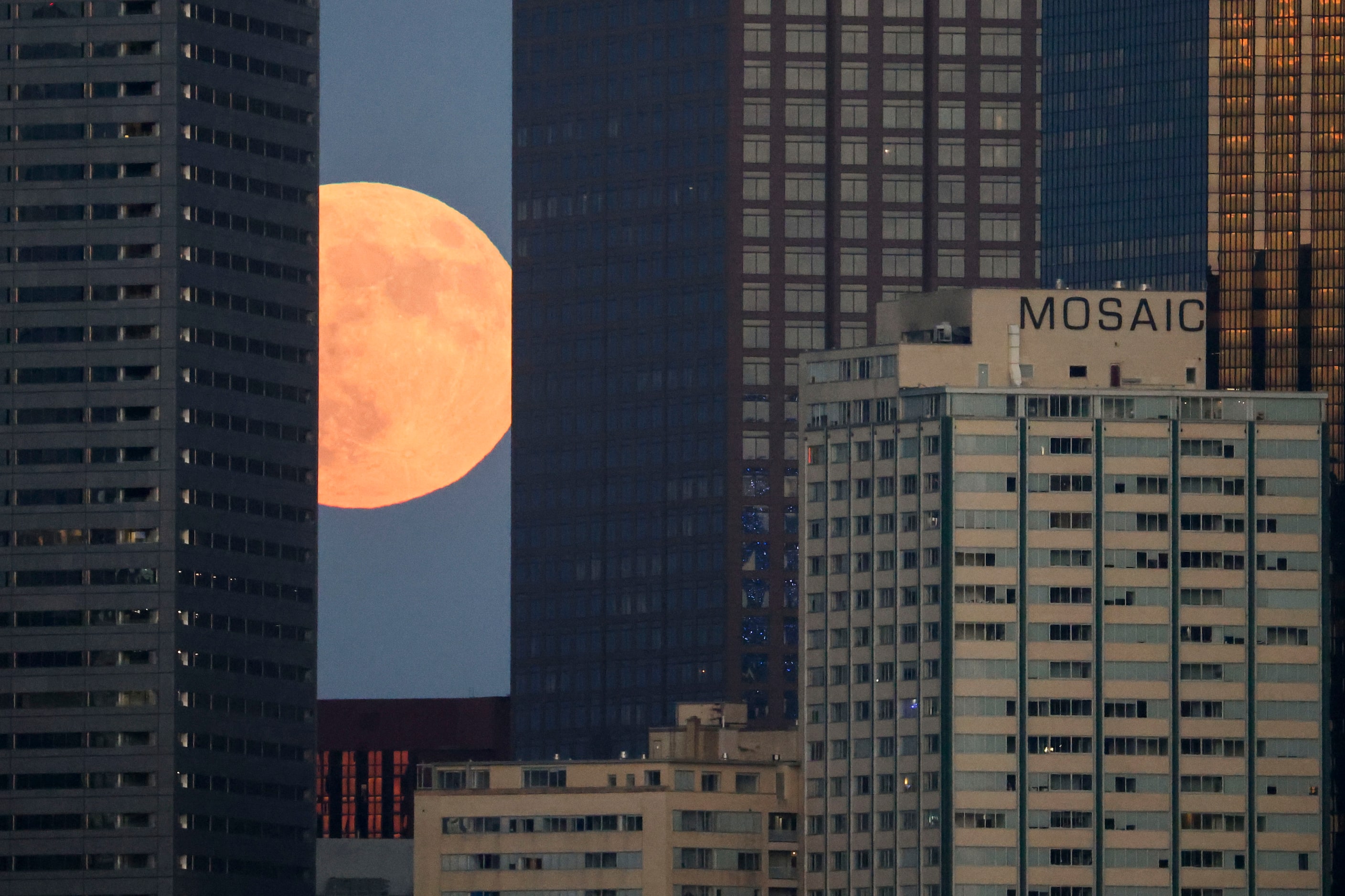 A full super harvest moon rises behind the Dallas skyline, overlooking Mosaic Dallas...