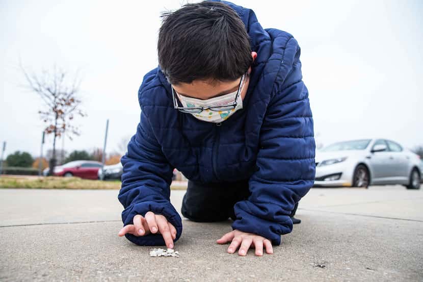 David Sanroman, 7, counts some rocks that he picked up from the ground at Frank Guzick...
