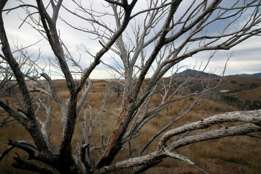 The Indian Lodge is visible in the distance at right from one of the hiking trails in the...