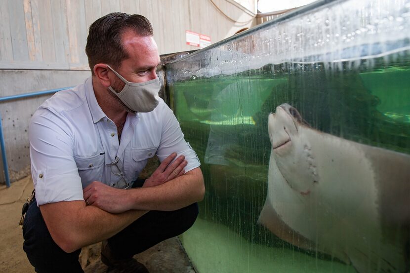 Harrison Edell, the Dallas Zoo's executive vice president for animal care and conservation...