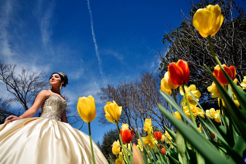 Hannah Grañado, 14, wears a quinceañera dress for a portrait session during Dallas Blooms at...