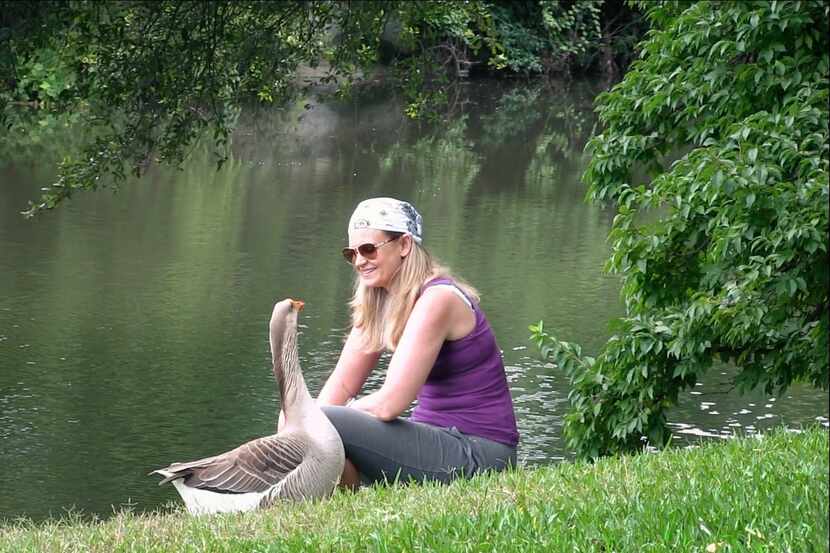 Filmmaker Cheryl Allison at Turtle Creek in Dallas with the goose she named "Honk," which...