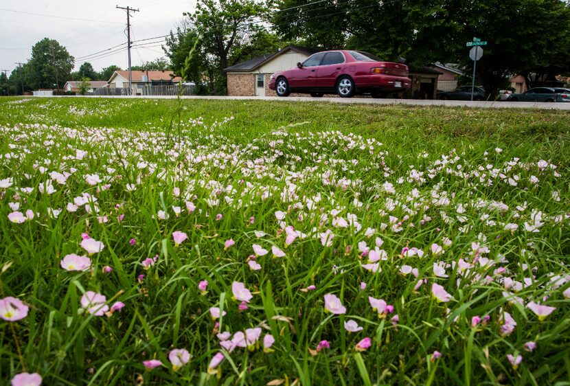 A car drives past the approximate location of where 15-year-old Jordan Edwards was shot by...