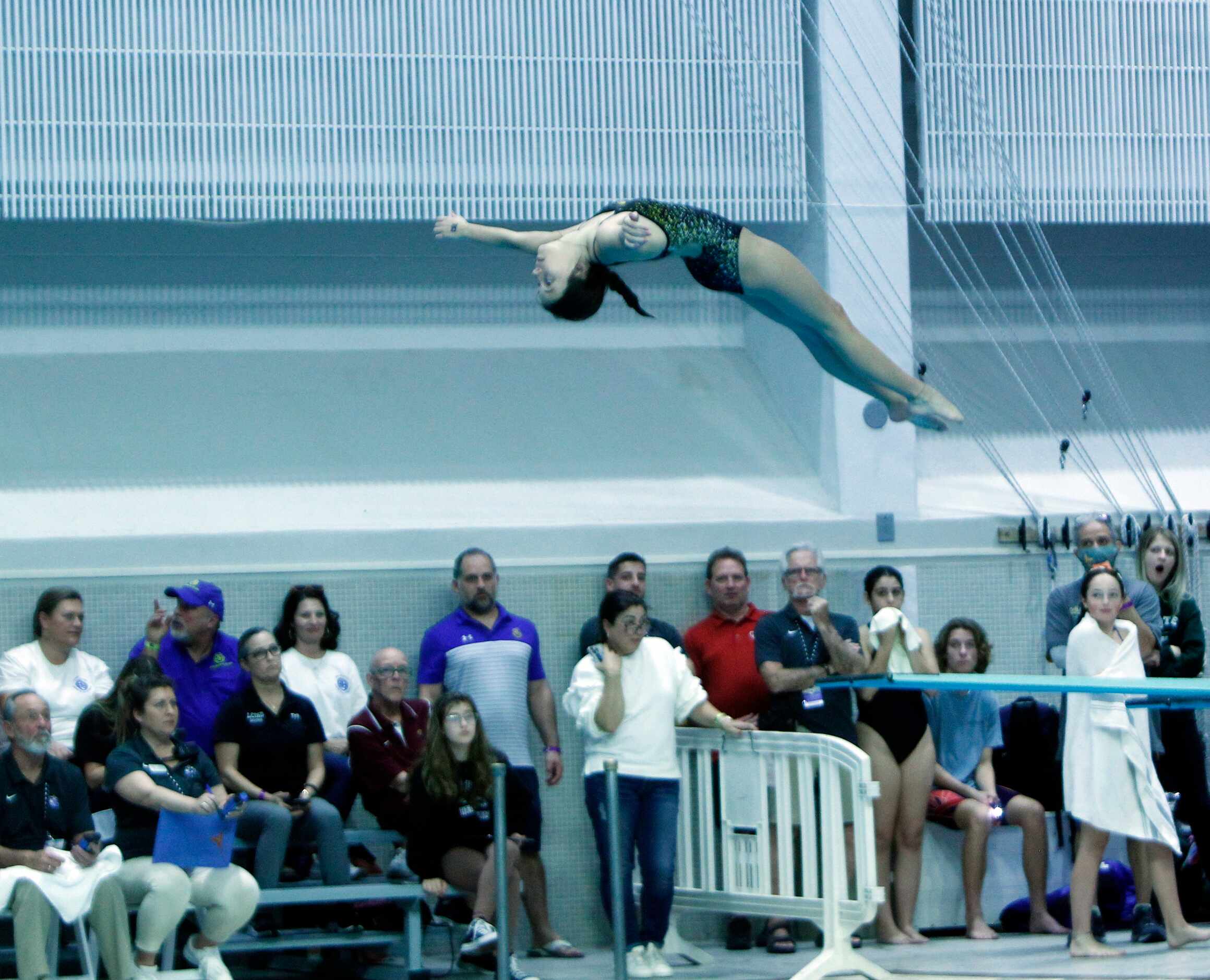 Forney diver Madeleine Belobraydic captures the attention of fans and judges as she competes...