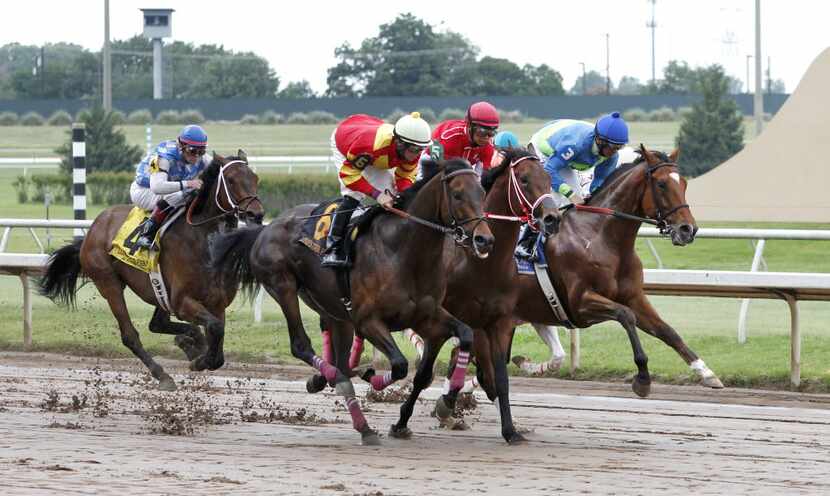 Jockey Richard E. Eramia (#3) riding Grand Contender takes the lead early and goes on to win...