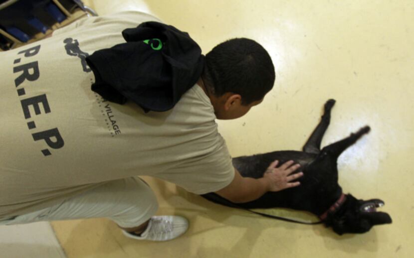 Jetta gets love from a student after the program's graduation. Both boy and dog completed...