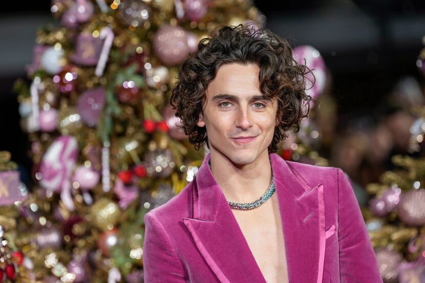 Timothee Chalamet posa a su llegada a la peremiere mundial de "Wonka" el martes 28 de...