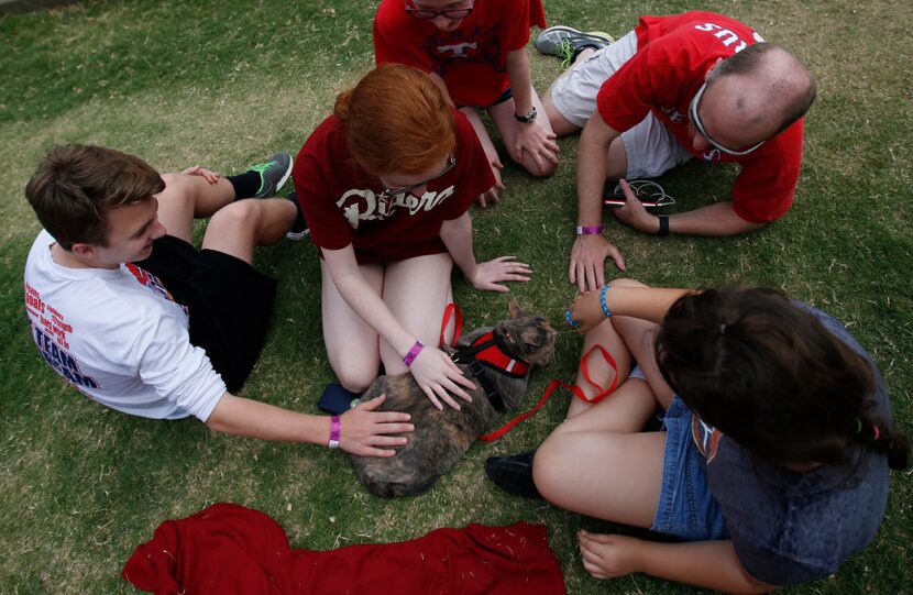 Purr the cat gets lots of attention during "Take Meow to the Ballgame," a day where cat...