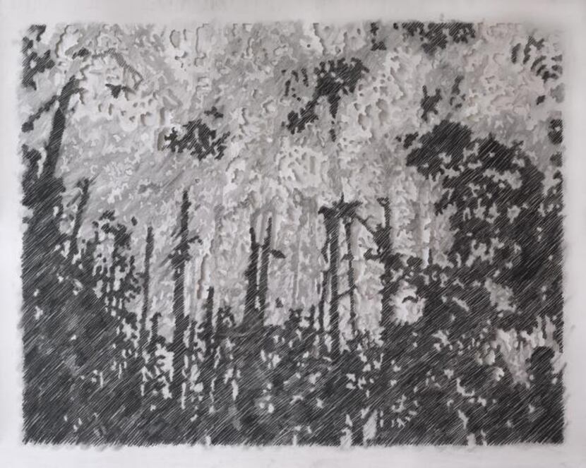 
Adam Ball Beyond 2014 Charcoal on hand- cut paper 128 x 159 cm
