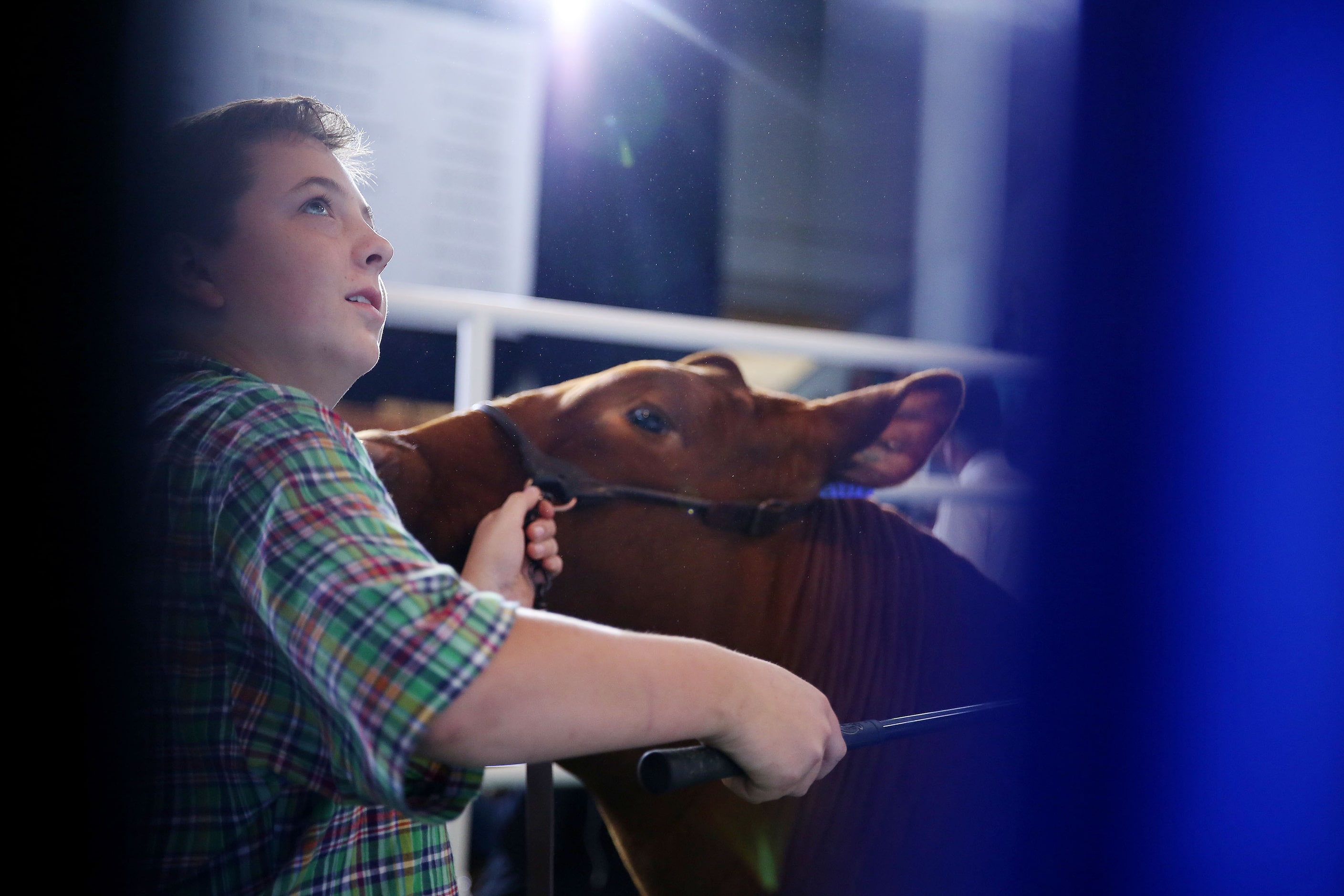 Jagger Horn, 14, looks up at auctioneer Bill Hall as his grand champion steer was being...