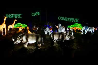 Dallas Zoo Lights tiene más de 2 millones de luces de Navidad y atracciones como lámparas...
