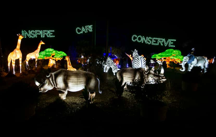 The Dallas Zoo Lights display includes silk-covered, animal-shaped lanterns that, for 2020,...