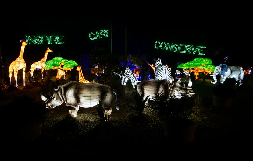 The Dallas Zoo Lights display includes silk-covered, animal-shaped lanterns that, for 2020,...